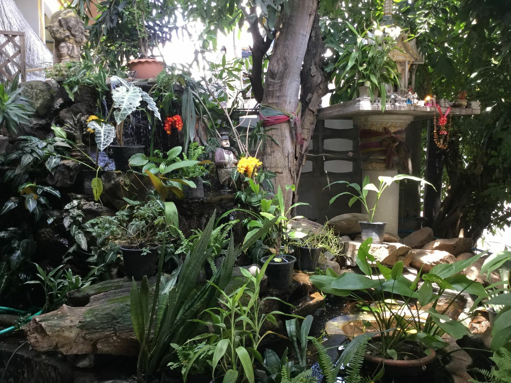 Rose Guest House Chiang Mai Buitenkant foto